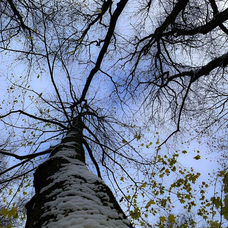 Zima 2023. Pierwszy śnieg w Rzeszowie [Park im. Szafera] - fot 2